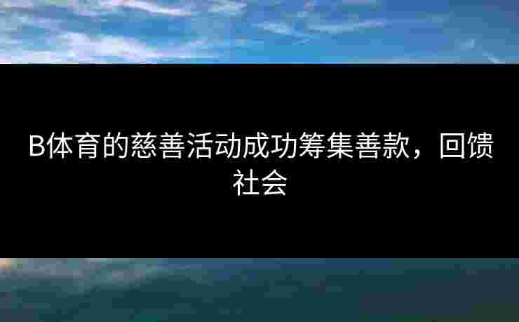 B体育的慈善活动成功筹集善款，回馈社会