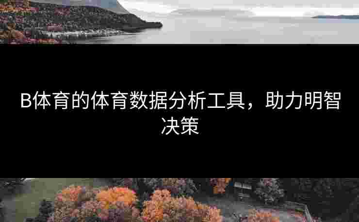 B体育的体育数据分析工具，助力明智决策