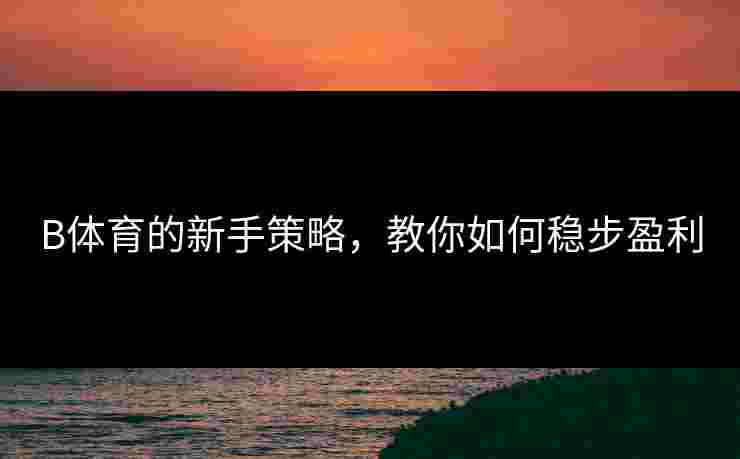 B体育的新手策略，教你如何稳步盈利