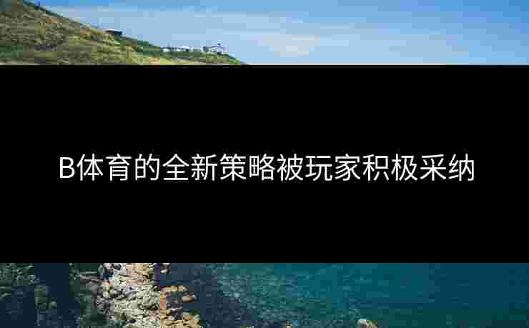 B体育的全新策略被玩家积极采纳